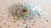 Glitters | Bright Silver 5gr. | Hobby-glitters | Nail & Body-art | Epoxy-art | Slijm-projecten | Decoratie