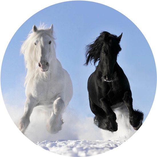 Muursticker Twee prachtige paarden in de sneeuw -Ø 80 cm