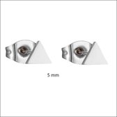 Aramat jewels ® - Zweerknopjes driehoek oorbellen 5mm staal zilverkleurig