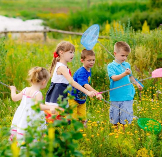 PHIEZC Set Van 6 Kinderschepnetten – Vlindernet En Visnet Met Telescoophandgreep Voor Buitenavonturen