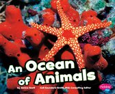 Habitats around the World - An Ocean of Animals