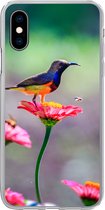 Geschikt voor iPhone X hoesje - Close-up van een kolibrie op roze bloemen - Siliconen Telefoonhoesje