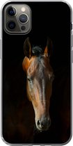 iPhone 13 Pro Max hoesje - Paarden - Dieren - Bruin - Siliconen Telefoonhoesje