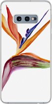 Geschikt voor Samsung Galaxy S10e hoesje - Strelitzia - Aquarel - Bloemen - Siliconen Telefoonhoesje