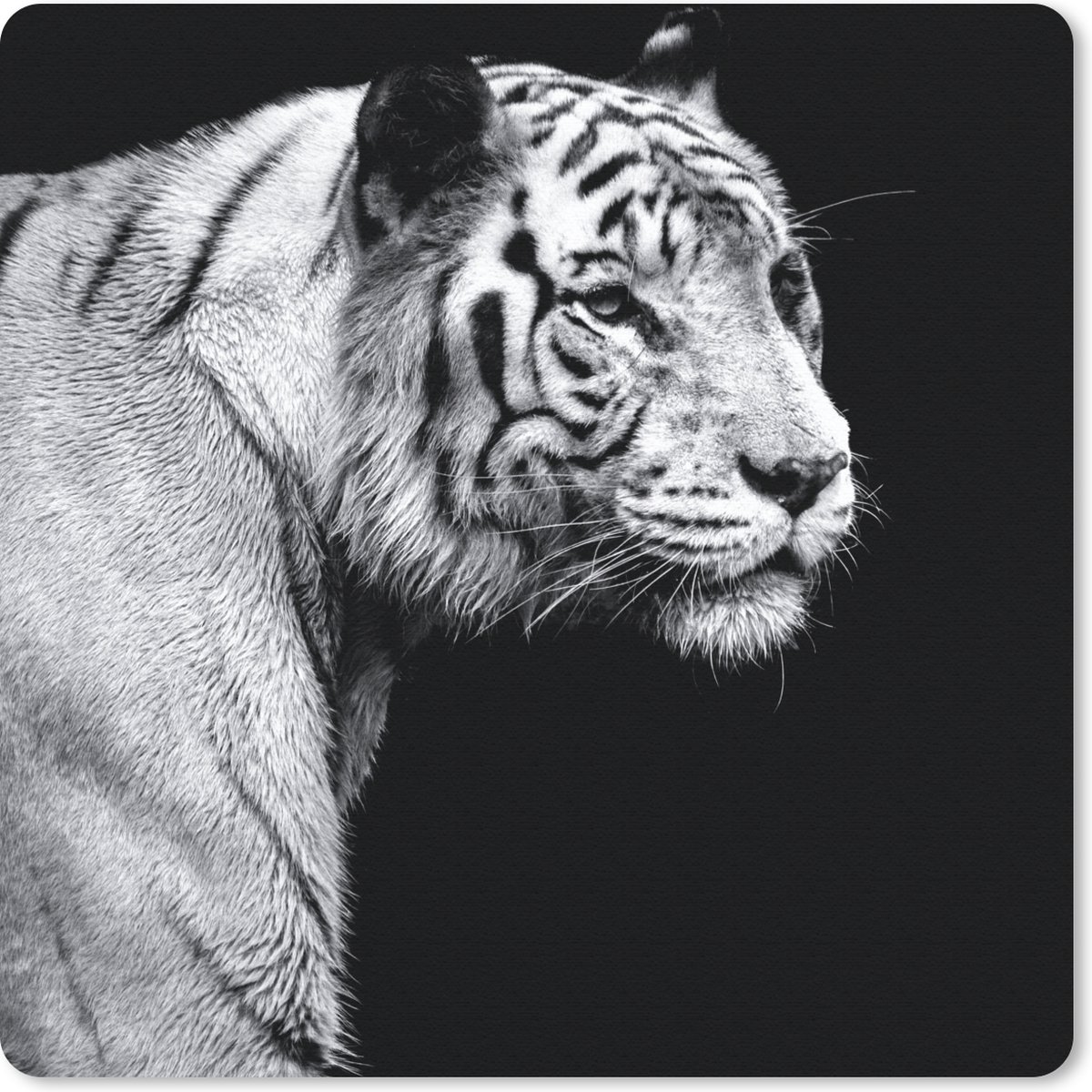 Muismat 20x20 cm - Mousepad Dierenprofiel tijger in zwart-wit - Muismatten
