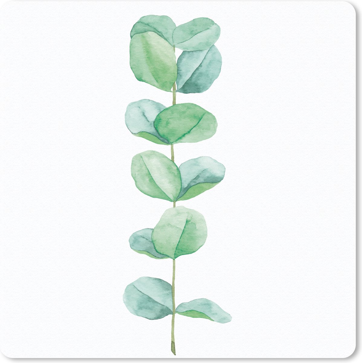 Muismat 30x30 cm - Mousepad Waterverf - Eucalyptus - Plant - Muismatten