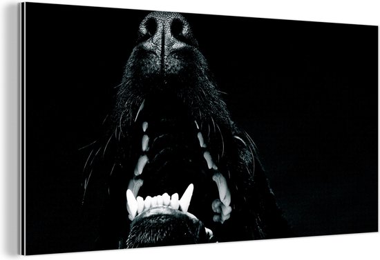 Wanddecoratie Metaal - Aluminium Schilderij Industrieel - Dierenprofiel hond met open bek in zwart-wit - 40x20 cm - Dibond - Foto op aluminium - Industriële muurdecoratie - Voor de woonkamer/slaapkamer