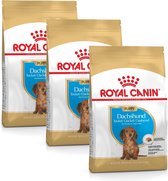 Royal Canin Bhn Teckel Puppy - Nourriture pour chien - 3 x 1,5 kg
