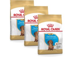 Royal Canin Dachshund - Puppy-Hondenvoer - 3 x 1.5 kg