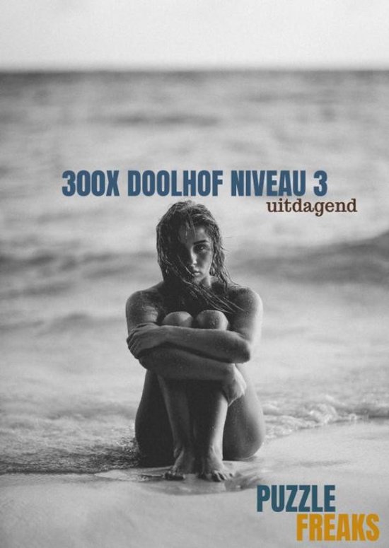 300X DOOLHOF NIVEAU 3 - cover
