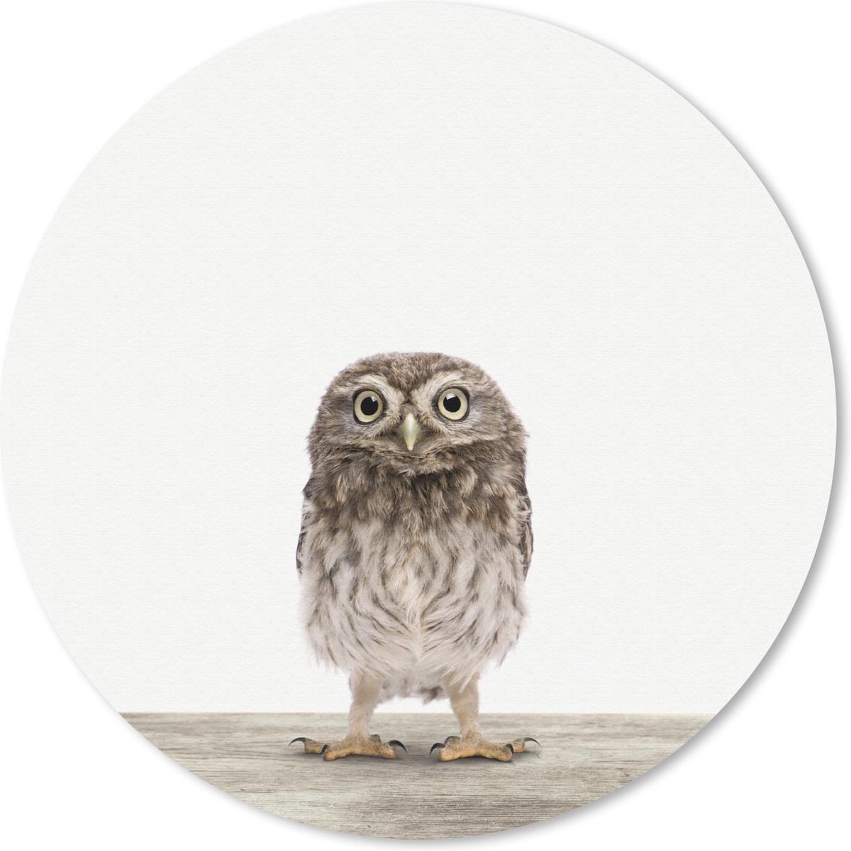 Muismat rond 20x20 cm - Mousepad Dieren - Wit - Uil - Ronde muismatten