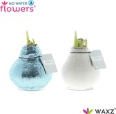 No Water Flowers® Waxz® Frozen Mix