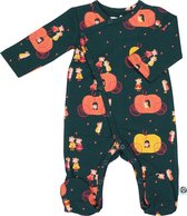 JUMPSUIT WITH FEET PUMPKIN JERSEY COTTON 50-56?