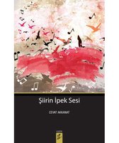 Şiirin İpek Sesi