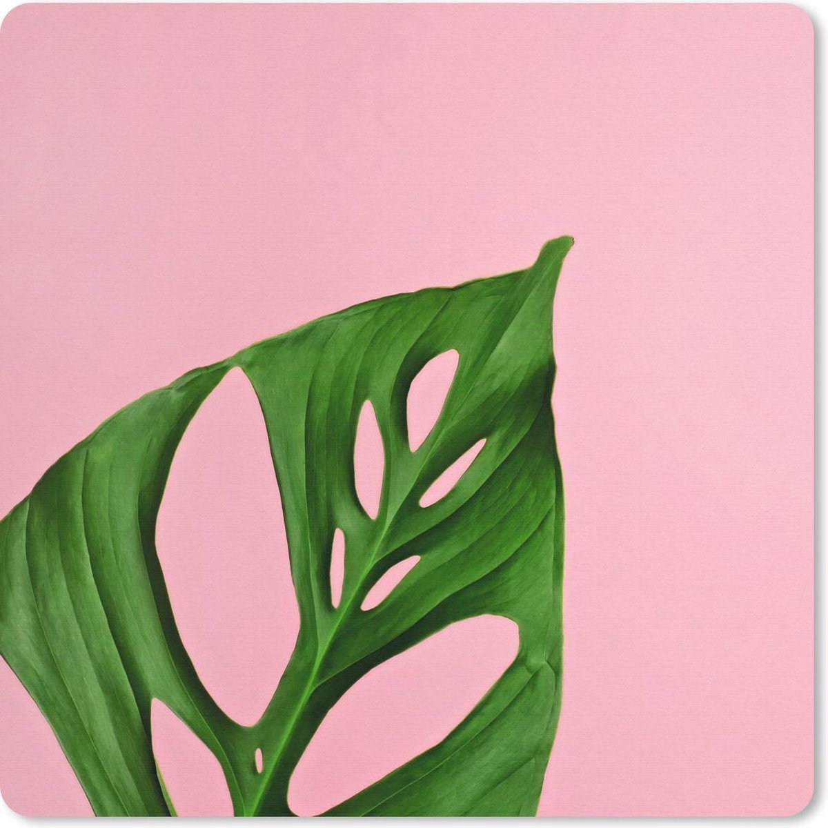 Muismat 30x30 cm - Mousepad Botanisch blad op een roze achtergrond - Muismatten
