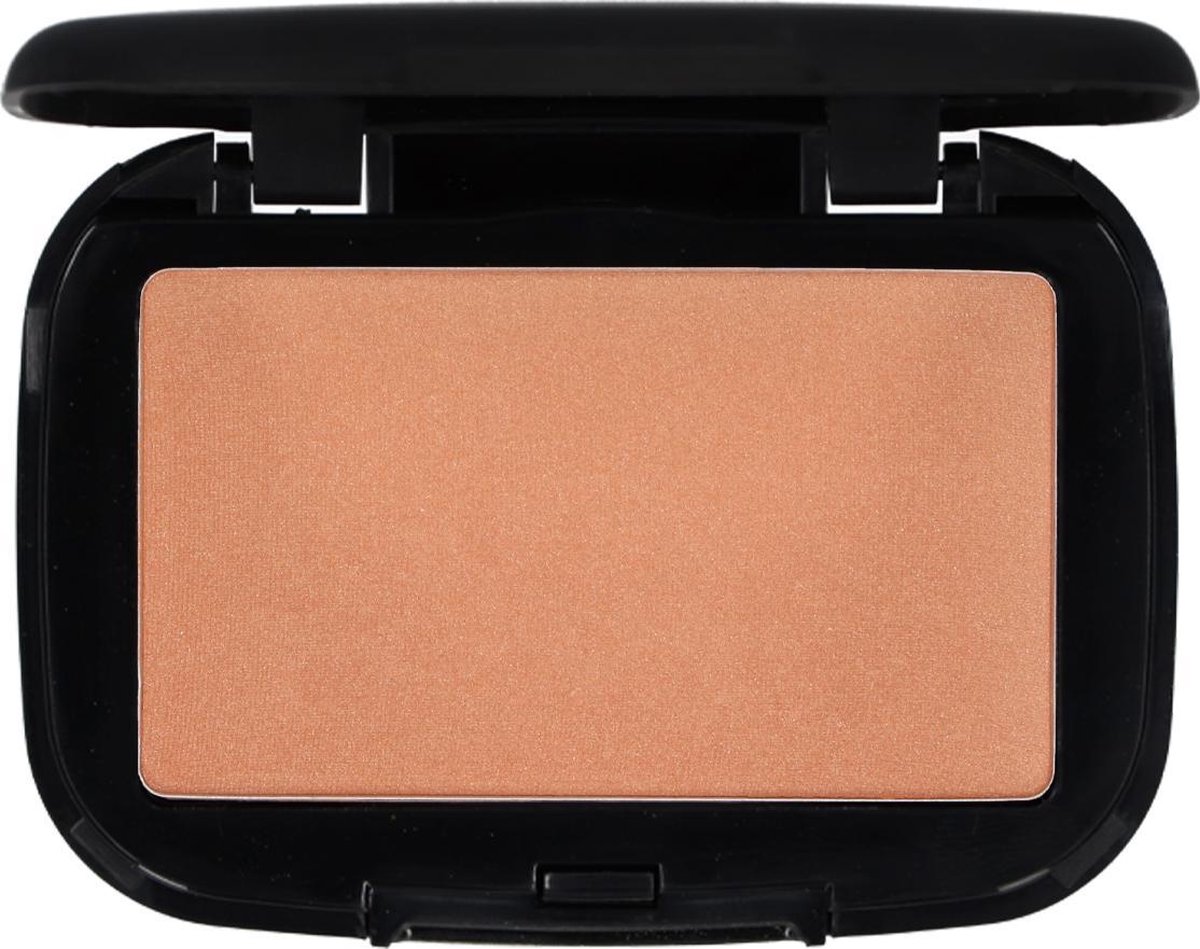 Make-up Studio Compact Earth Powder Make-uppoeder - Parelmoer 2