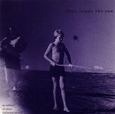 Flies Inside The Sun - An Audience Of Others (CD)