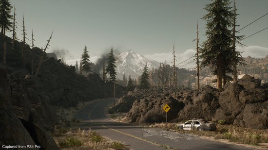 Days Gone - PS4