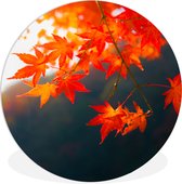 Cercle Mural - Cercle Mural Intérieur - Feuilles d'Automne au Japon - ⌀ 30 cm - Décoration murale - Peintures Ronds