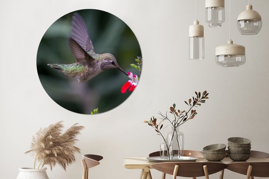 WallCircle - Cercle Mural - Cercle Mural - Colibri - Bloem - Rouge - Aluminium - Dibond - 140x140 cm - Intérieur et Extérieur