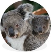 WallCircle - Wandcirkel ⌀ 30 - Koala's - Vader - Zoon - Kids - Jongens - Meiden - Ronde schilderijen woonkamer - Wandbord rond - Muurdecoratie cirkel - Kamer decoratie binnen - Wanddecoratie muurcirkel - Woonaccessoires