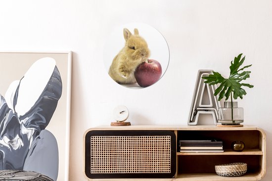 Cercle Mural - Cercle Mural Intérieur - Lapin - Bébé - Pomme - ⌀ 30 cm - Décoration murale - Peintures Ronds