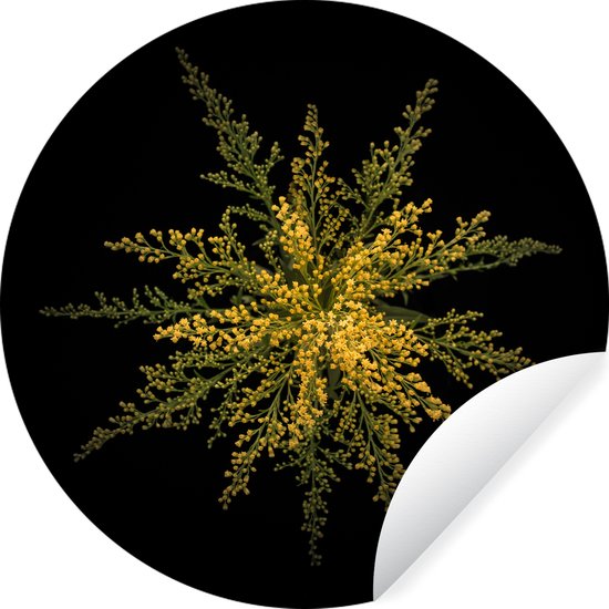 Cercle de papier peint - Une fleur tige d'or sur fond noir - 100x100 cm - Cercle de mur - Autocollant - Sticker papier peint XXL