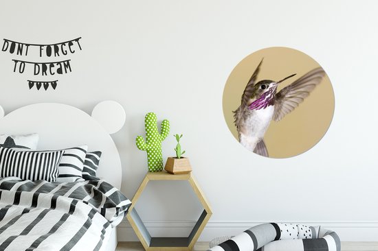 WallCircle - Stickers muraux - Cercle Papier Peint - Colibri - Vogel - Violet - 50x50 cm - Cercle Mural - Auto Adhésif - Autocollant Rond Papier Peint