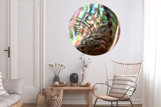 WallCircle - Cercle mural - Cercle mural - Coquillage - Nacre - Bois - Aluminium - Dibond - ⌀ 120 cm - Intérieur et Extérieur XXL