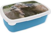 Broodtrommel Blauw - Lunchbox - Brooddoos - Drie spelende fjord paarden - 18x12x6 cm - Kinderen - Jongen