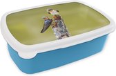 Broodtrommel Blauw - Lunchbox - Brooddoos - Vogels - Tak - Portret - 18x12x6 cm - Kinderen - Jongen