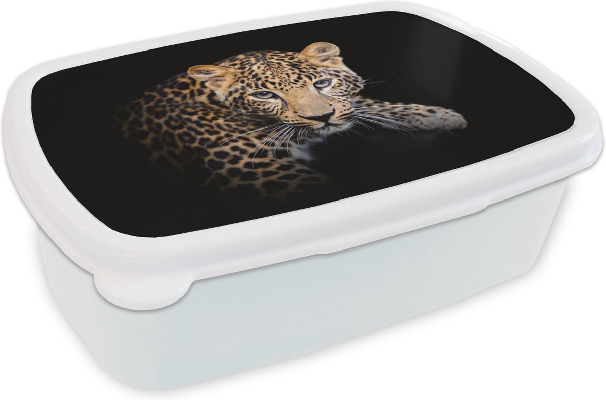 Broodtrommel Wit - Lunchbox - Brooddoos - Panter - Zwart - Blauw - 18x12x6 cm - Volwassenen