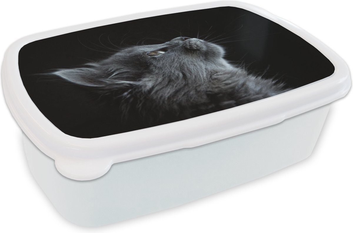 Broodtrommel Wit - Lunchbox - Brooddoos - Poes - Licht - Zwart - 18x12x6 cm - Volwassenen