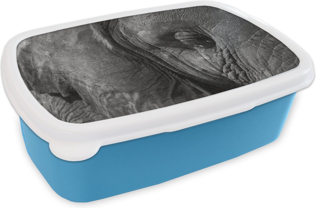 Broodtrommel Blauw - Lunchbox - Brooddoos - Zwart-wit close-up van een olifant - 18x12x6 cm - Kinderen - Jongen