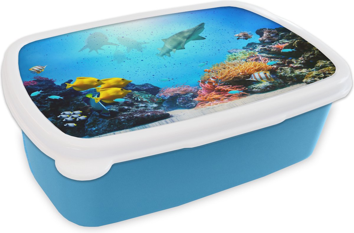 Broodtrommel Blauw - Lunchbox - Brooddoos - Zee - Vissen - Koraal - 18x12x6 cm - Kinderen - Jongen