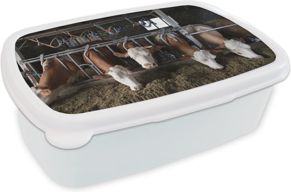 Broodtrommel Wit - Lunchbox - Brooddoos - Koe - Eten - Boerderij - 18x12x6 cm - Volwassenen