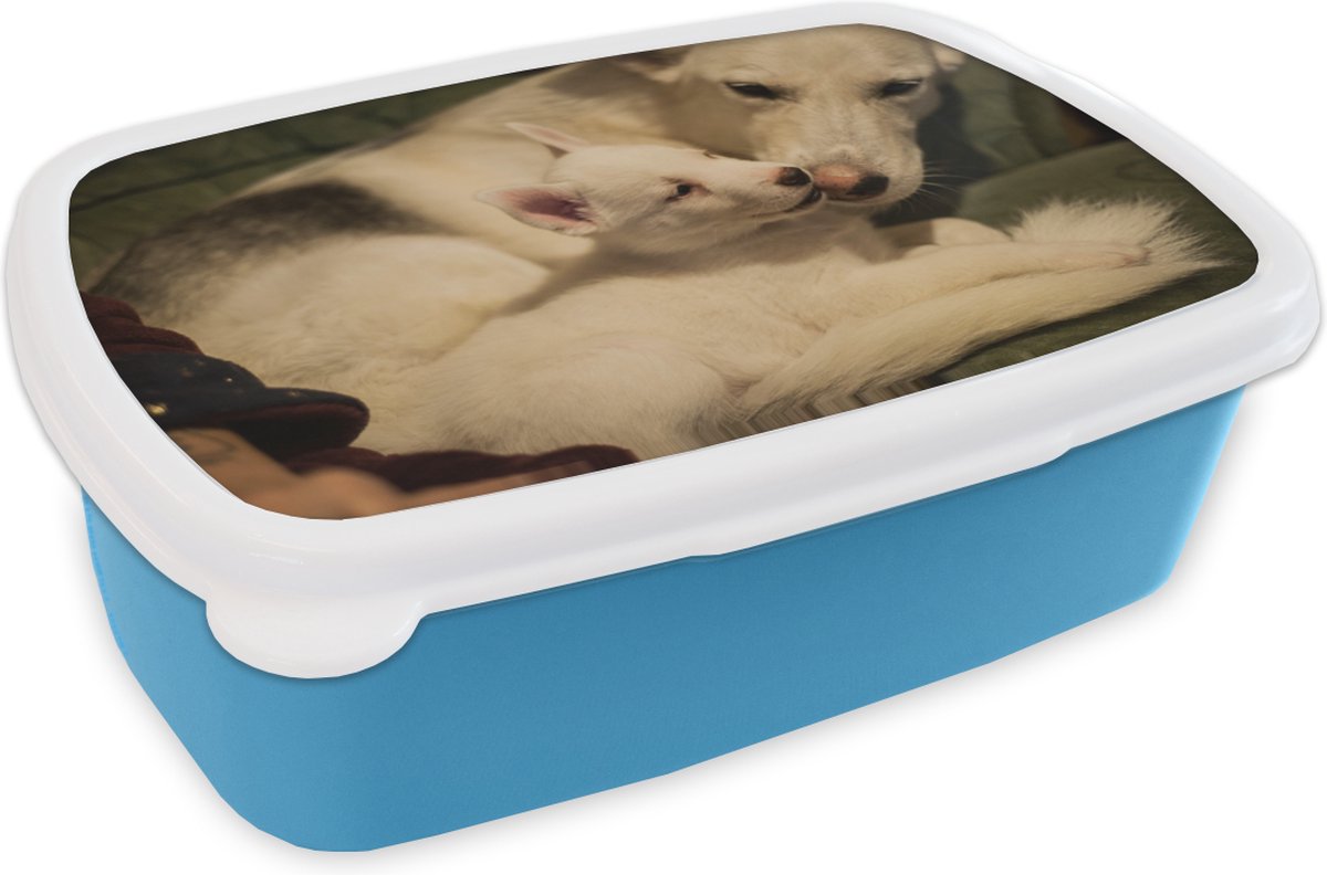Broodtrommel Blauw - Lunchbox - Brooddoos - Moeder met puppy - 18x12x6 cm - Kinderen - Jongen