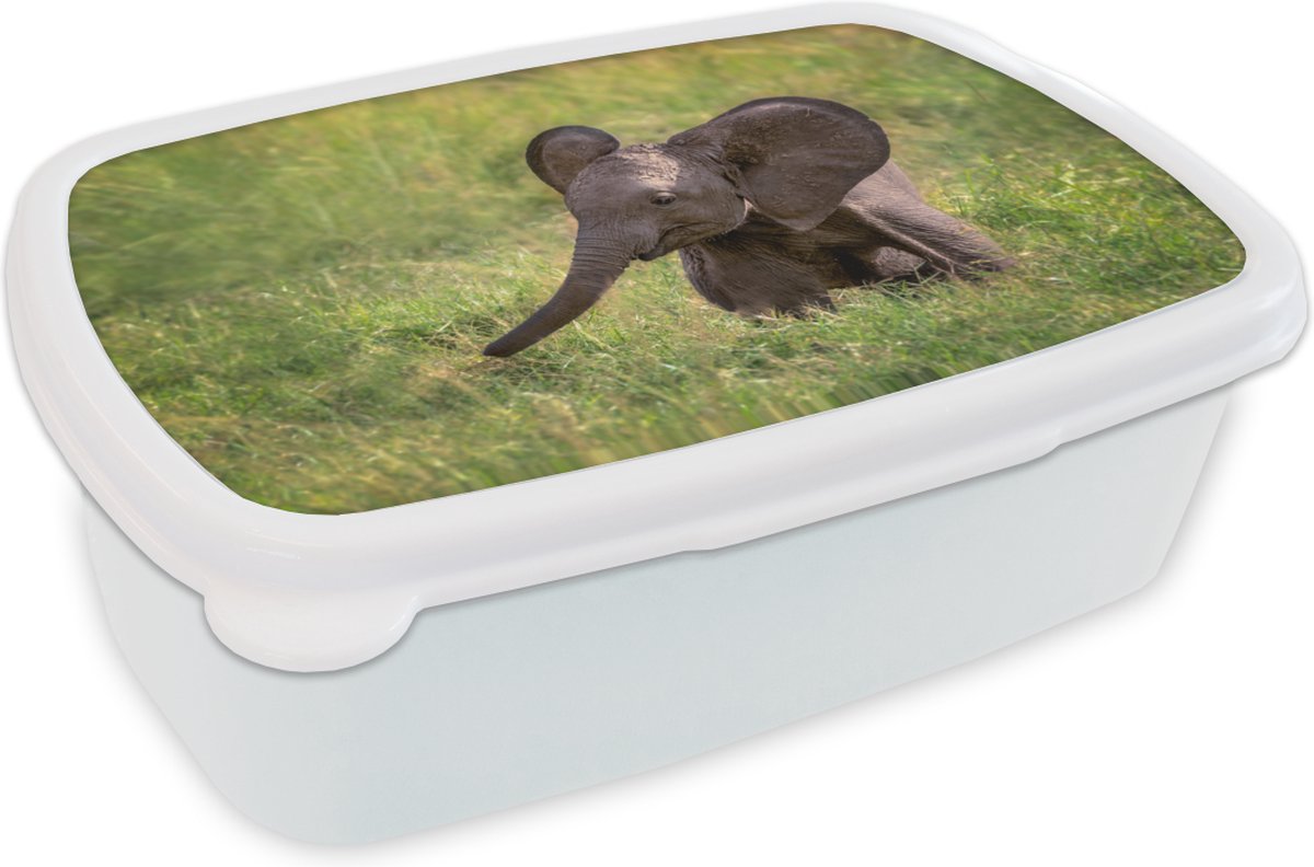 Broodtrommel Wit - Lunchbox - Brooddoos - Olifant - Baby - Kalf - 18x12x6 cm - Volwassenen