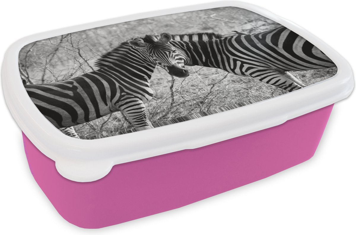 Broodtrommel Roze - Lunchbox - Brooddoos - Twee zebra's - 18x12x6 cm - Kinderen - Meisje