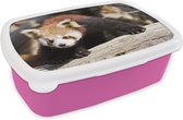 Broodtrommel Roze - Lunchbox - Brooddoos - Rode Panda - Boomstam - Dier - 18x12x6 cm - Kinderen - Meisje