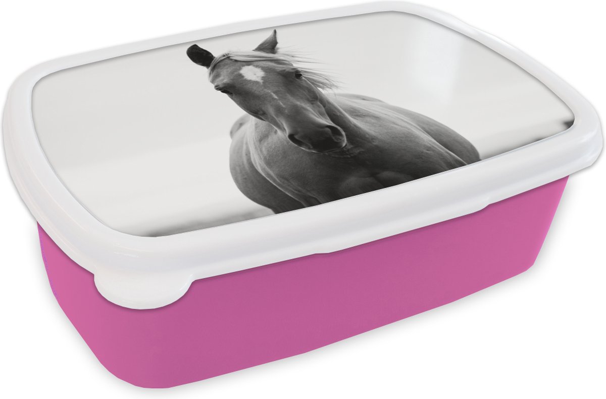 Broodtrommel Roze - Lunchbox - Brooddoos - Paard - Dier - Zwart - Wit - 18x12x6 cm - Kinderen - Meisje