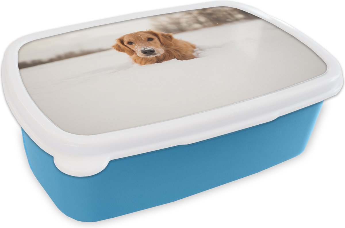Broodtrommel Blauw - Lunchbox - Brooddoos - Hond - Sneeuw - Winter - 18x12x6 cm - Kinderen - Jongen