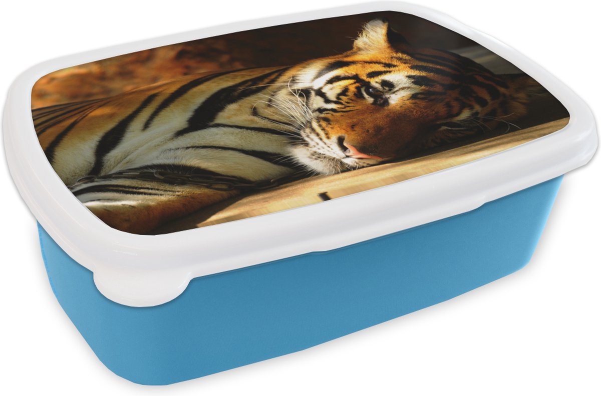 Broodtrommel Blauw - Lunchbox - Brooddoos - Tijger - Dieren - Rusten - 18x12x6 cm - Kinderen - Jongen