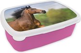 Broodtrommel Roze - Lunchbox Paard - Dier - Manen - Bruin - Brooddoos 18x12x6 cm - Brood lunch box - Broodtrommels voor kinderen en volwassenen
