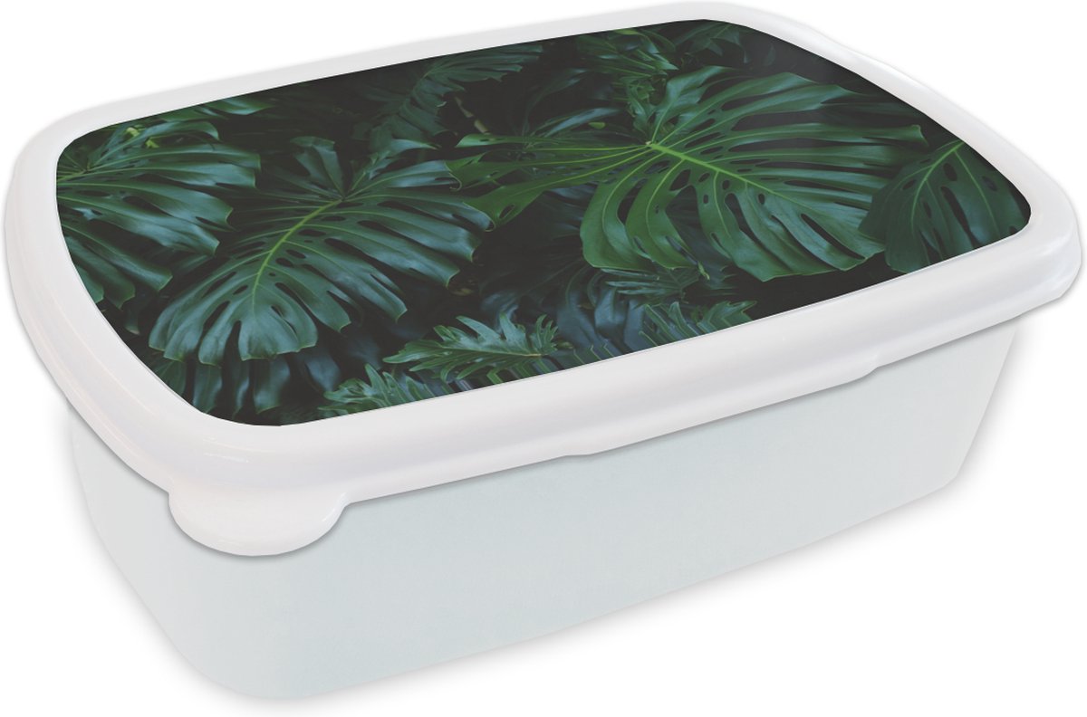 Broodtrommel Wit - Lunchbox - Brooddoos - Jungle - Blad - Groen - 18x12x6 cm - Volwassenen
