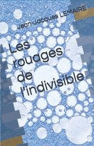 Les rouages de l'indivisible