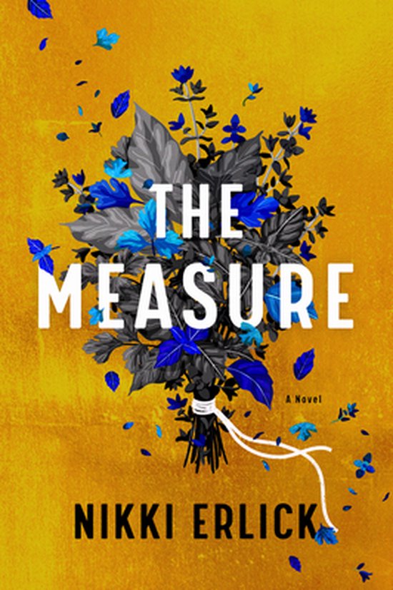 The Measure - cover