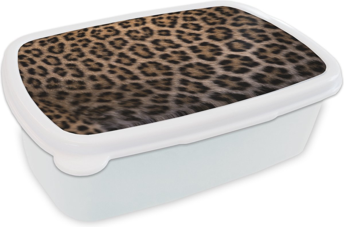 Broodtrommel Wit - Lunchbox - Brooddoos - Panterprint - 18x12x6 cm - Volwassenen