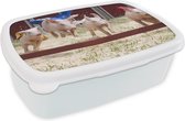 Broodtrommel Wit - Lunchbox - Brooddoos - Varken - Cape - Gras - 18x12x6 cm - Volwassenen