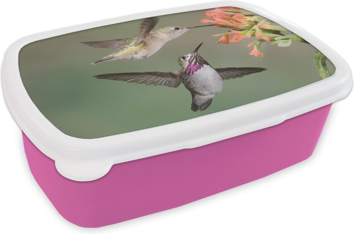 Broodtrommel Roze - Lunchbox - Brooddoos - Kolibrie - Vogels - Bloem - 18x12x6 cm - Kinderen - Meisje